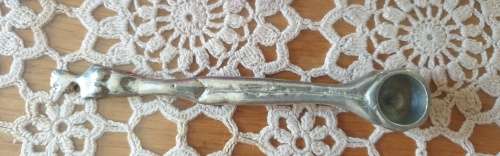 Carrol Boyes Salt Spoon