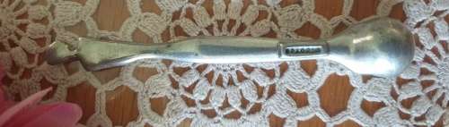 Carrol Boyes Salt Spoon