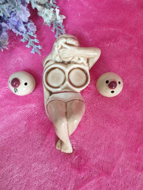 Vintage Naked Nude Lady Boobs Salt & Pepper Shakers  `Spice of Life`.