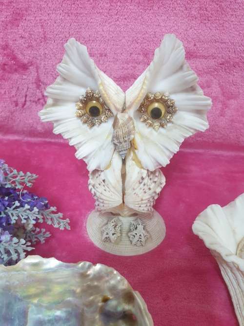Sea Shells