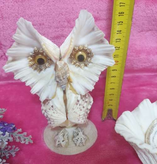 Sea Shells