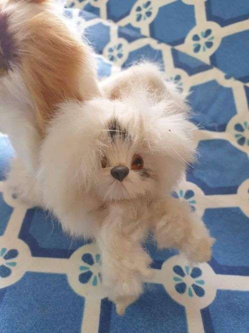 Vintage Rabit Fur Item