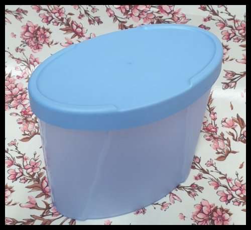 Tupperware Container with Lid