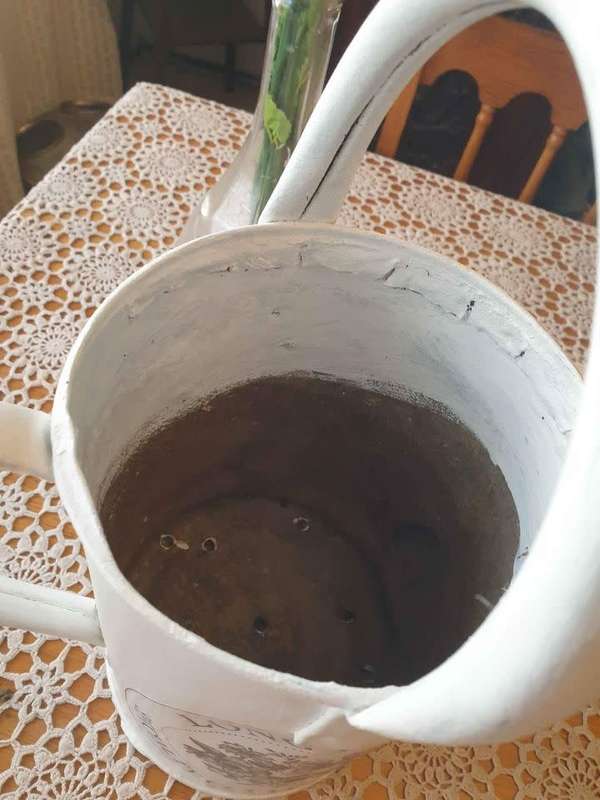 Vintage Galvanized Watering Can | Painted | Découpage |  Patio Decor | Kitchen Decor |