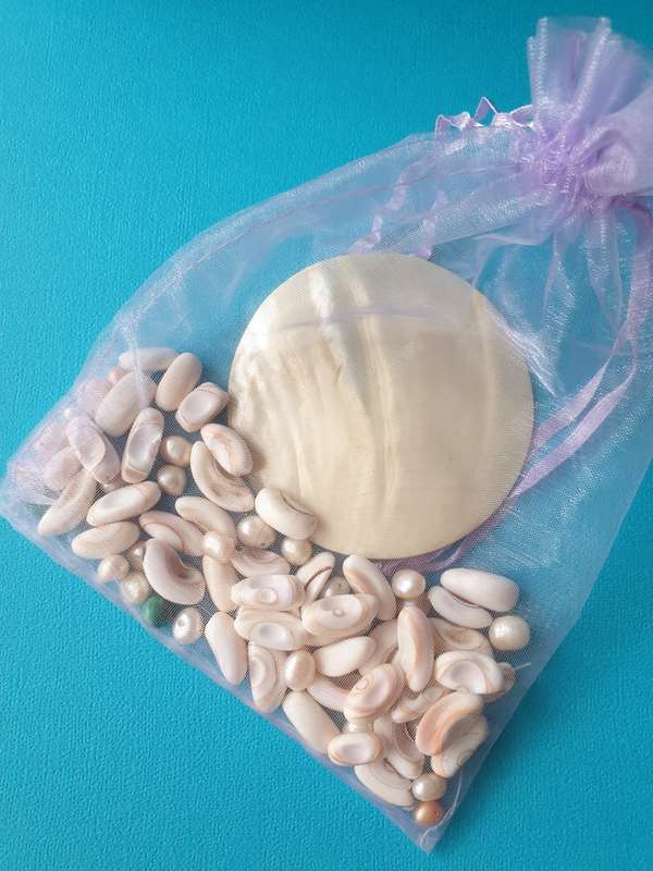 BOX WITH SHELLS FOR YOUR CRAFT PROJECT