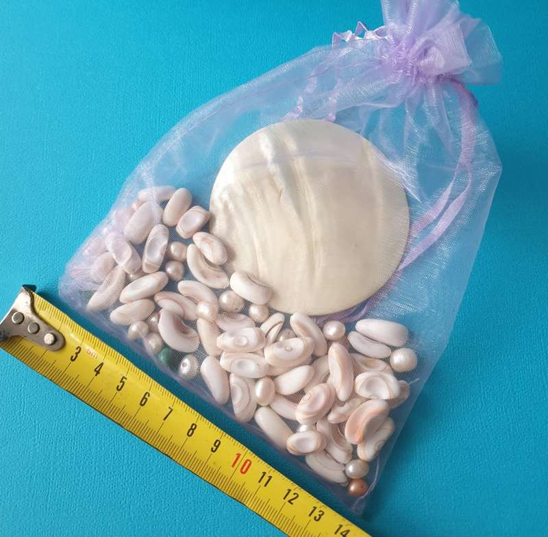 BOX WITH SHELLS FOR YOUR CRAFT PROJECT