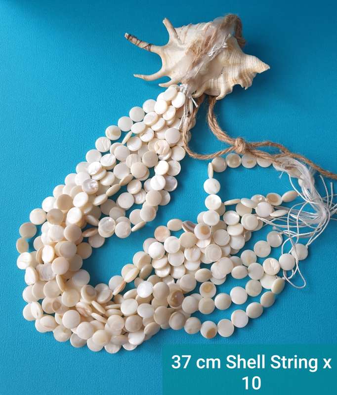 BOX WITH SHELLS FOR YOUR CRAFT PROJECT