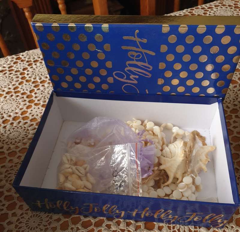 BOX WITH SHELLS FOR YOUR CRAFT PROJECT