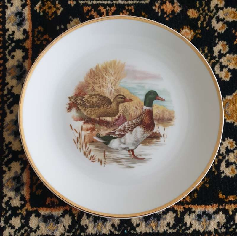 WALL PLATE |  GOOD CONDITION | DECOR | KITCHEN