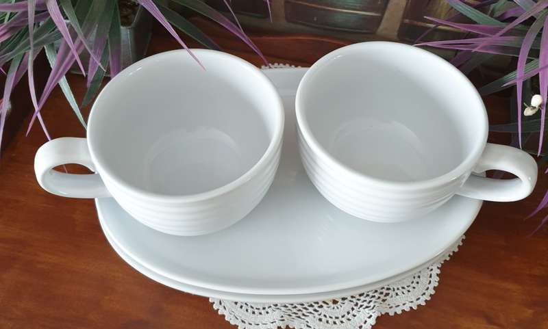 TWO LARGE SNACK PLATES AND CUPS