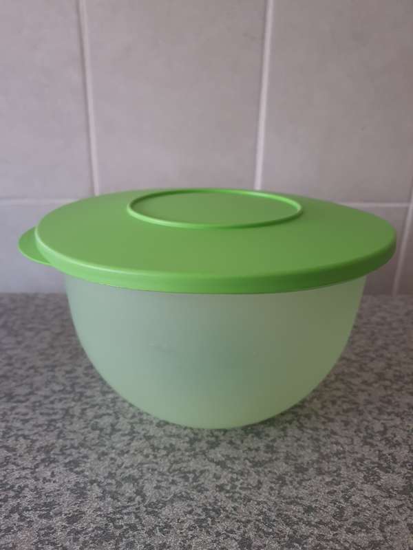 Tupperware Container with Lid