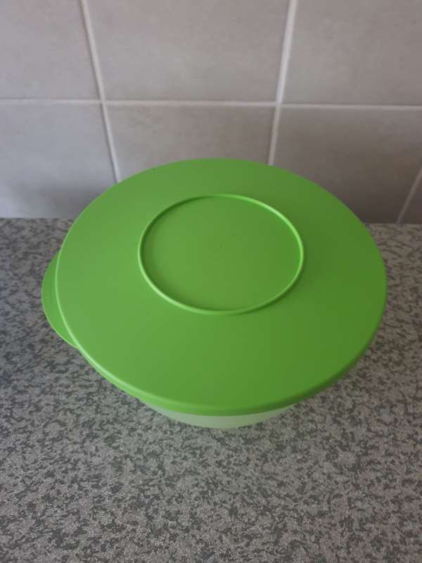 Tupperware Container with Lid
