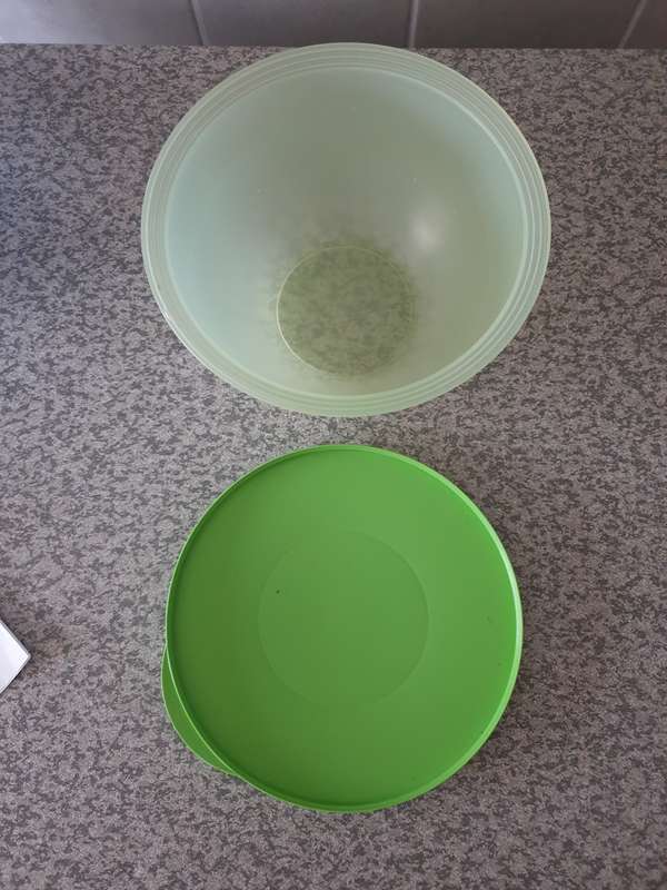 Tupperware Container with Lid