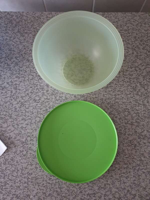 Tupperware Container with Lid