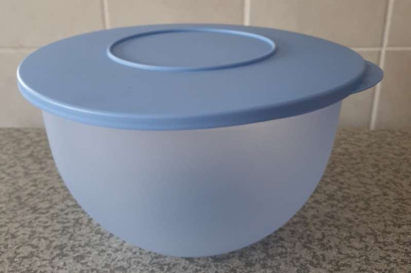 Tupperware Container with Lid
