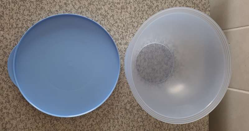 Tupperware Container with Lid