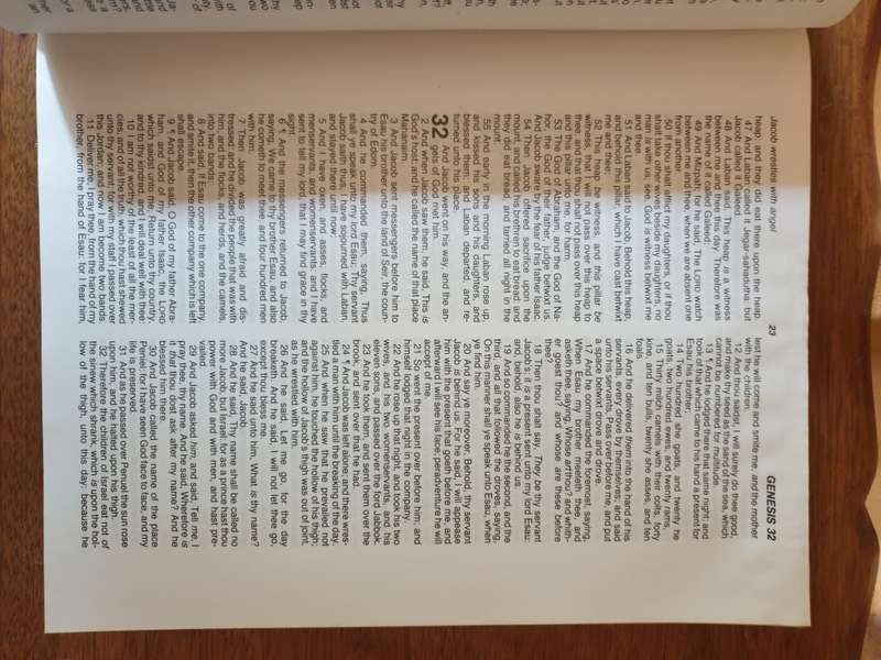 HOLY BIBLE