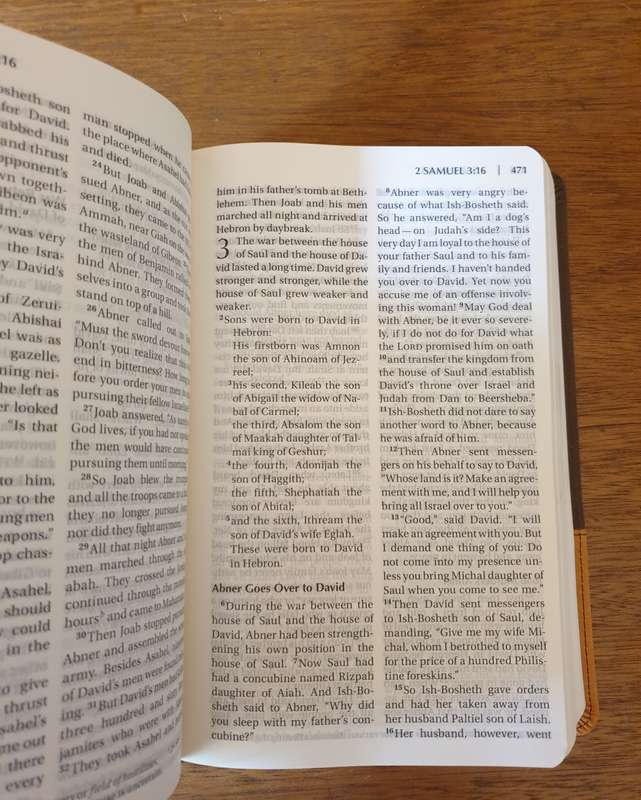 NIV BOOK