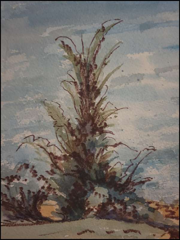 WATER COLOR