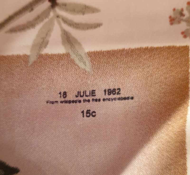 LADIES UNDERGARMENTS AND 2 SCARVES