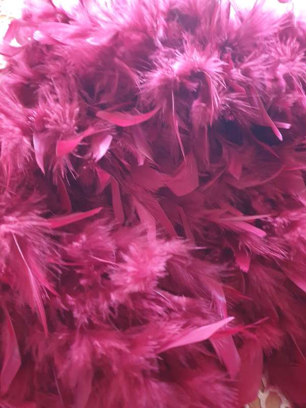 Ladies Scarf | Approximately 2 meters  | FEATHERS
