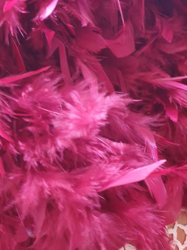 Ladies Scarf | Approximately 2 meters  | FEATHERS
