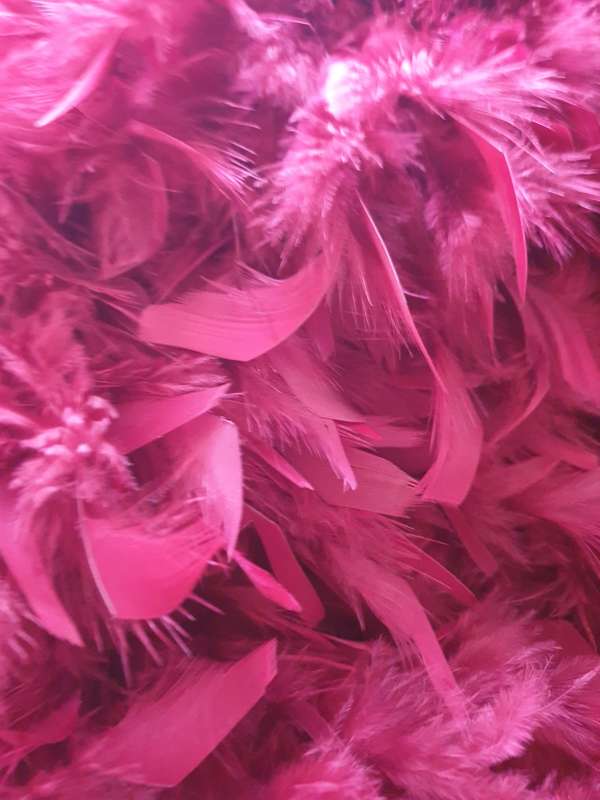 Ladies Scarf | Approximately 2 meters  | FEATHERS
