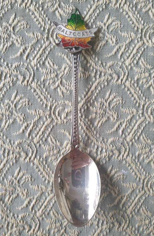 SILVER SPOON | 800 | VINTAGE | 01