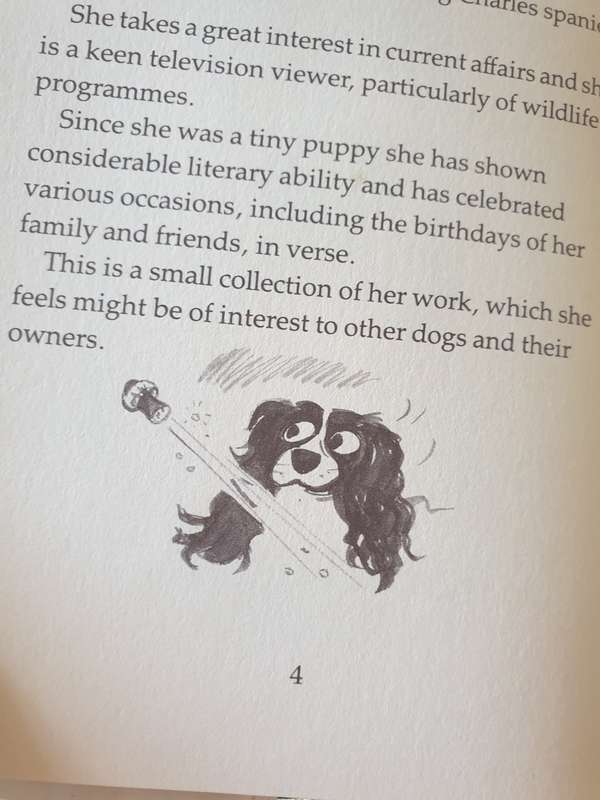 TWO BOOKS FOR YOUR COLLECTION | DOGGY |