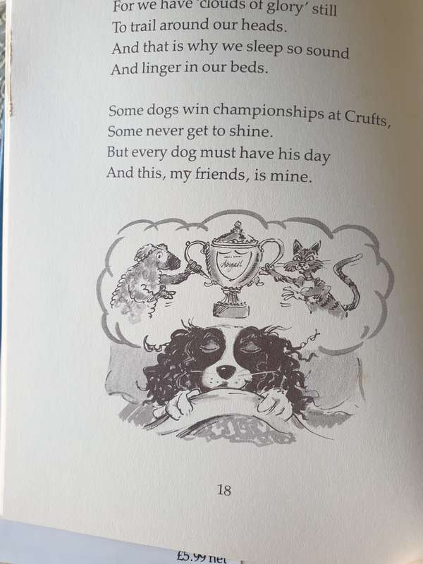 TWO BOOKS FOR YOUR COLLECTION | DOGGY |