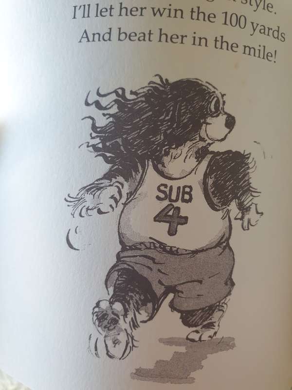 TWO BOOKS FOR YOUR COLLECTION | DOGGY |