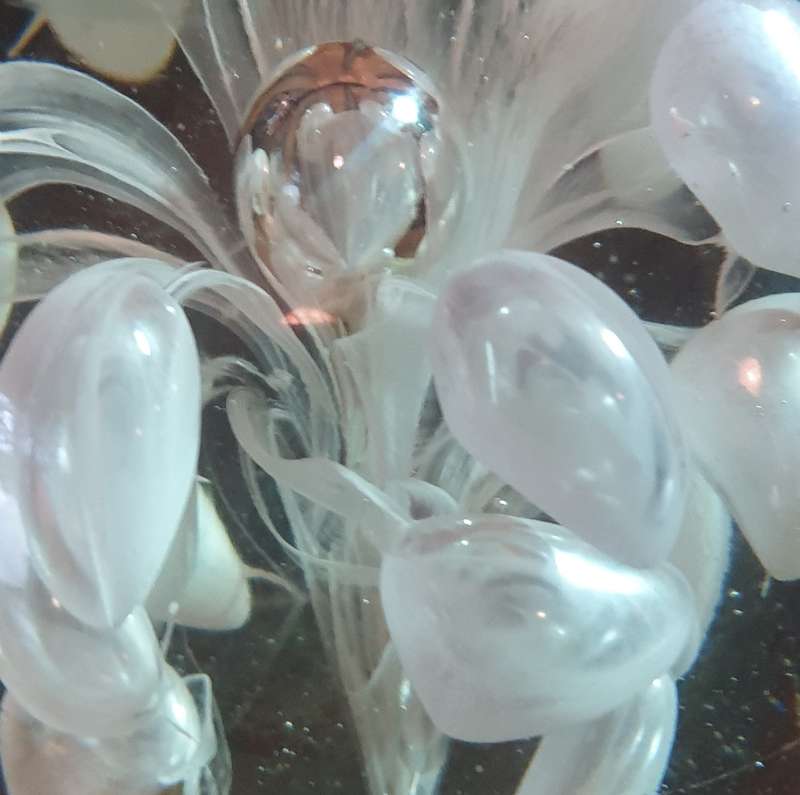 HUGE GLASS PAPER WEIGHT | 4.3 KG |