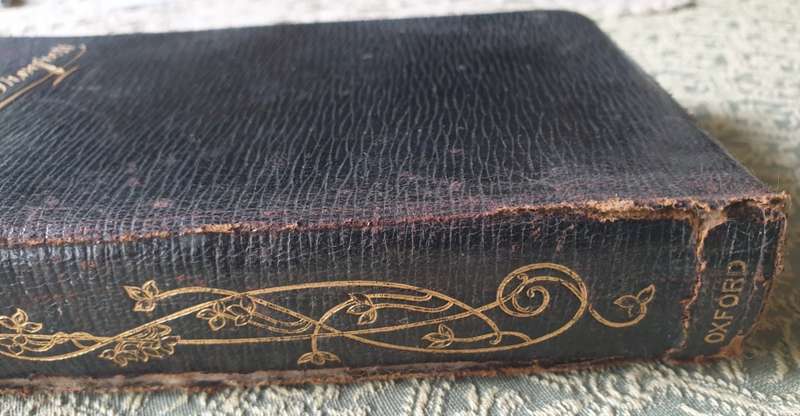 The Pilgrim`s Progress | by John Bunyan | 1904 |