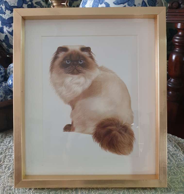 Metal Frame with a Print of a Cat