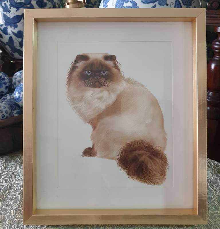 Metal Frame with a Print of a Cat