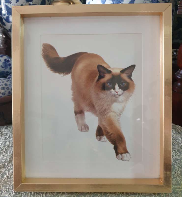 Metal Frame with a Print of a Cat