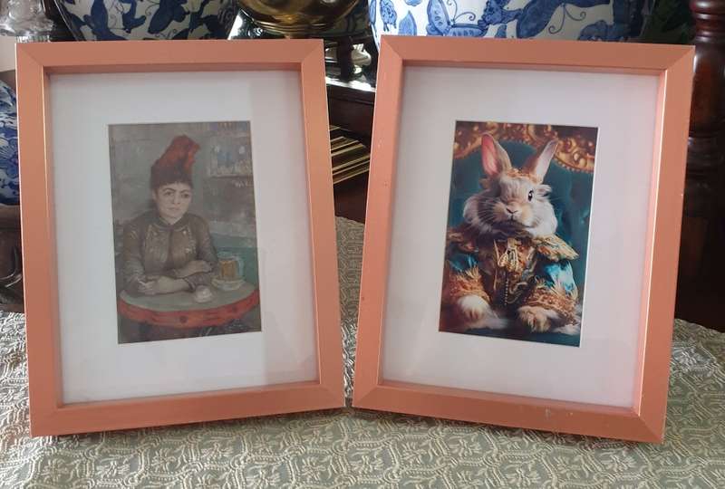 Metal Frames with  Prints  (size of Frame 25 x 20 cm )