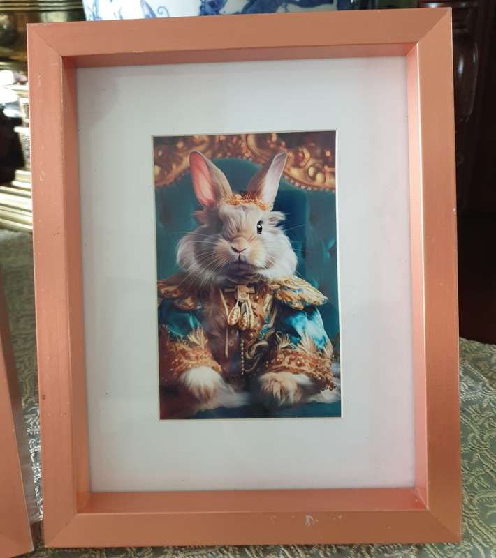 Metal Frames with  Prints  (size of Frame 25 x 20 cm )