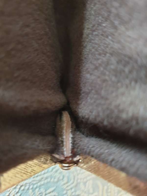 VINTAGE PURSE | LEATHER ? |