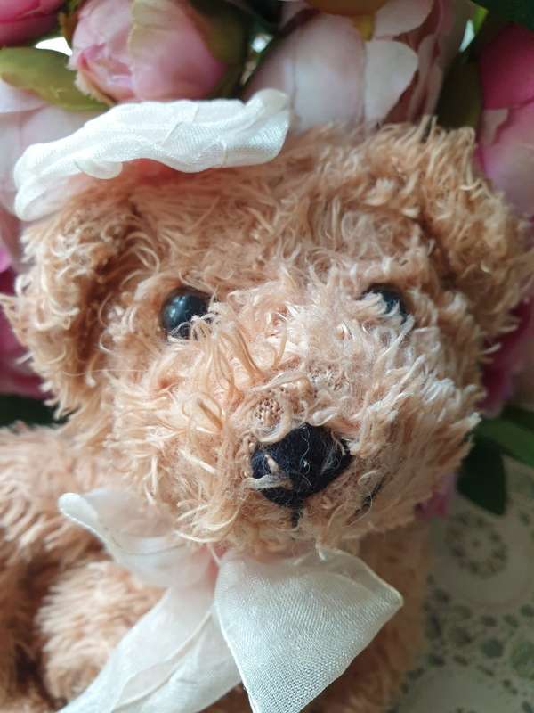 Beanie Bear Vintage 2001 |