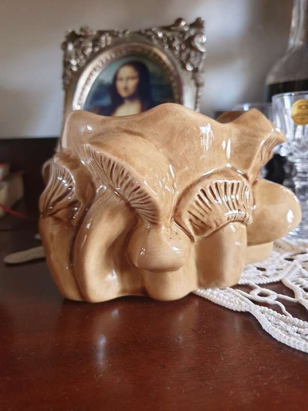 VINTAGE Mushrooms