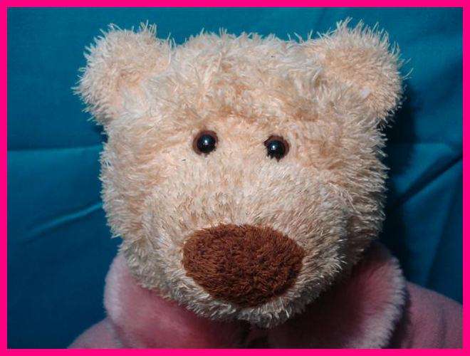 Collectable Limited Edition Teddy Bear