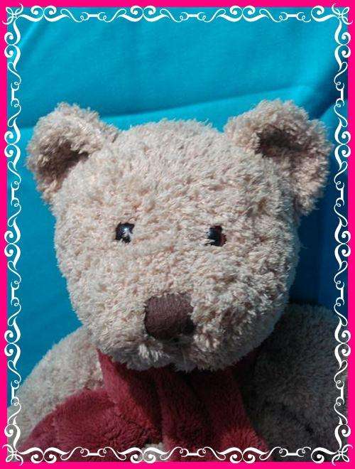 Woolies Teddy Bear