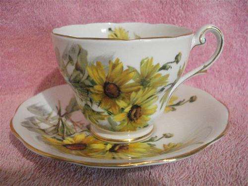 Royal Standard Cup and Saucer
