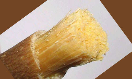Miswak -The Natural Toothbrush (No toothpaste needed)