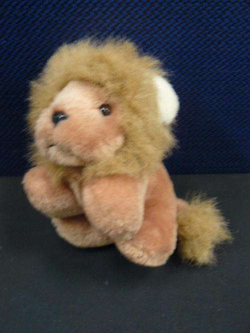 BABY LION