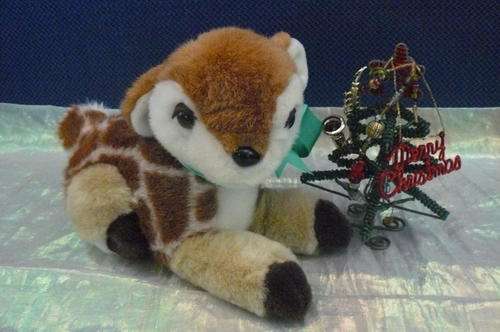 BABY BAMBI