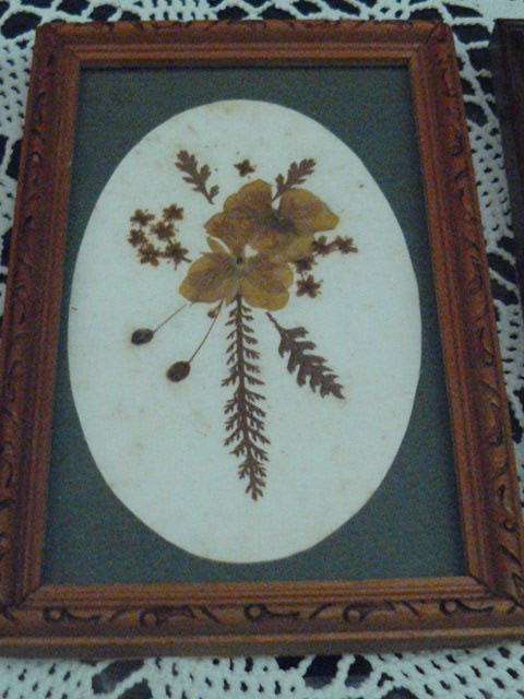 WOODEN VINTAGE FRAMES WITH GLASS X 3