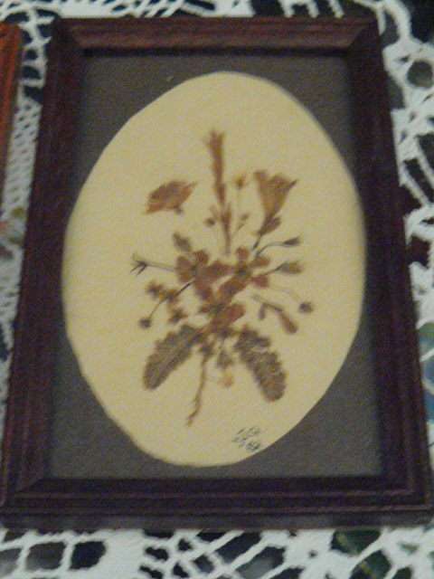 WOODEN VINTAGE FRAMES WITH GLASS X 3