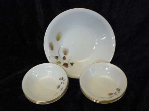 FRUIT OR SALAD BOWL  AND 6 POTESA SPANISH DISH